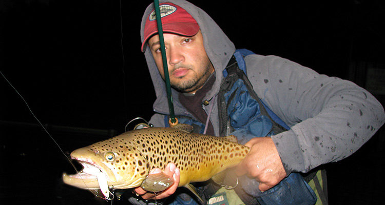 Topwater trout