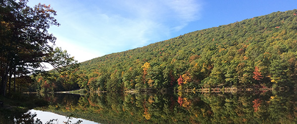 Vibrant colors are being captured on cameras across PA this time of year. This is a scene captured by an angler on a recent fishing trip to Poe Lake, Centre County, PA.