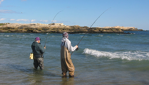 Two anglers battle bluefish at the mouth of the Narrow River in the daytime in the fall. Locations like these are prime spots to find both stripers and bluefish. This is where larger fish wait in the current to ambush baitfish.