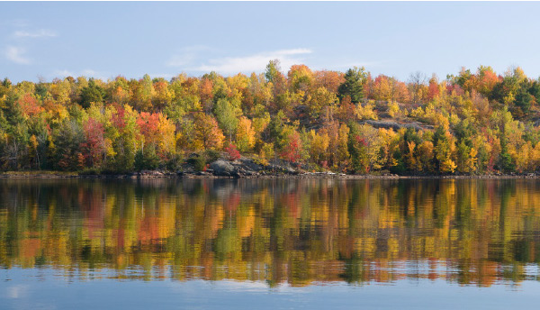 Fishing in autumn provides some picturesque scenery.