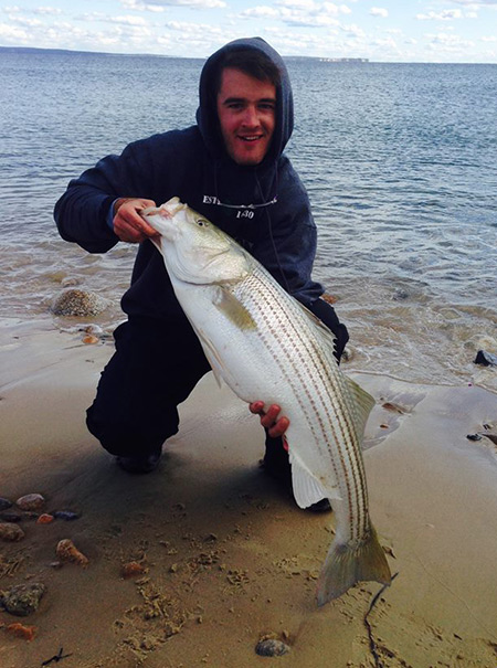 bass3