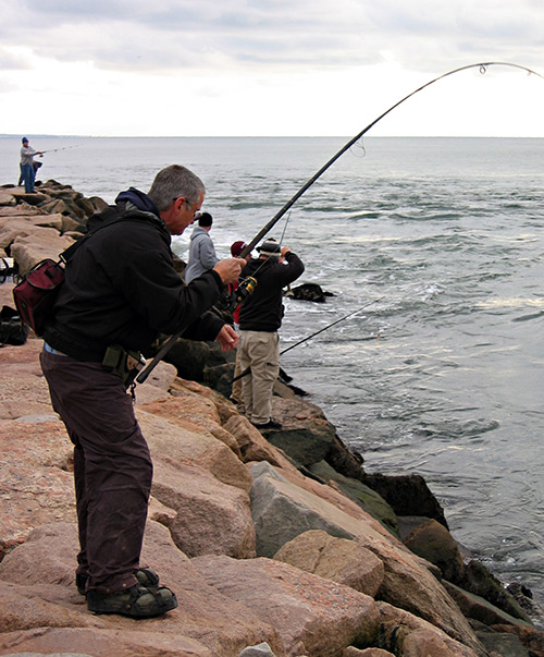 Breachways will produce best on the outgoing tides.