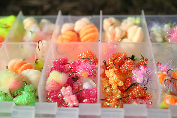 Regularly change up your offering to show the fish something different