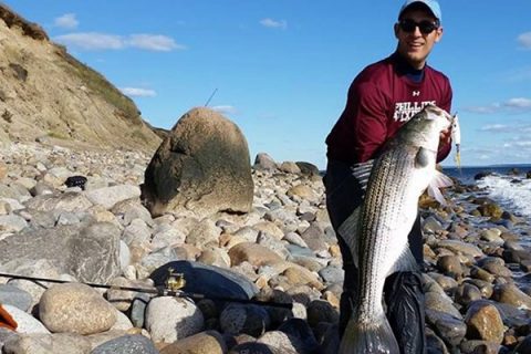 Cuttyhunk striped bass