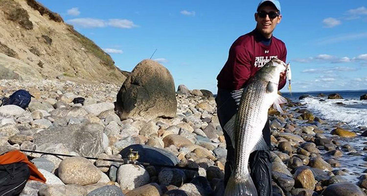Cuttyhunk striped bass
