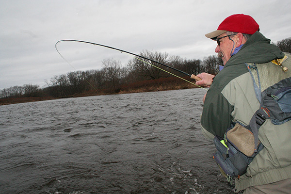 A steelhead will be more easily steered toward the net by a rod that is kept parallel to the water.