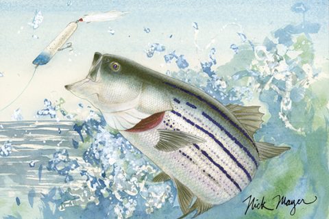 Original watercolor by Nick Mayer -nickmayerart.com