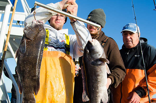 A pair of bulldogs go head-to-head for the pool money aboard the Norma K III.