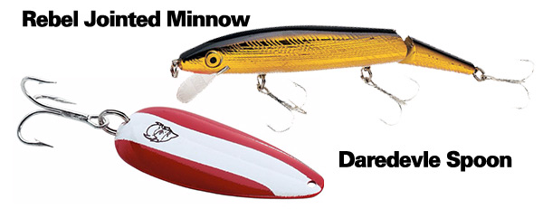 Daredevle Spoon and Rebel Jointed Minnow