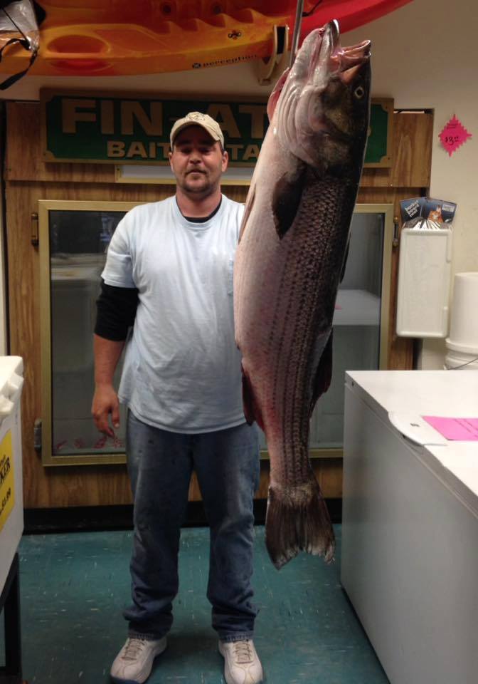 Jerry Coombs trolled up this 39-pounder off Brigantine and weighed it in at Fin-Atic's in Ocean City.