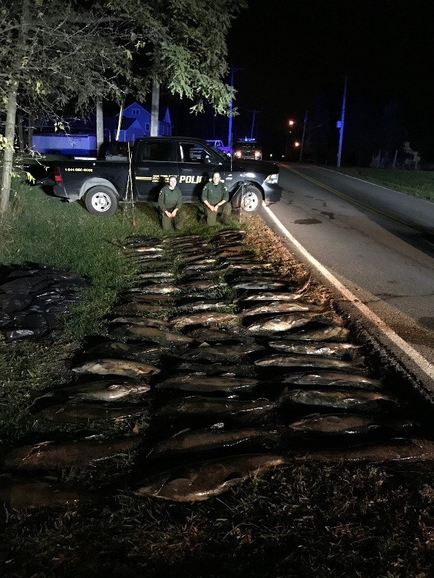 Salmon Snaggers Caught with 69 Salmon