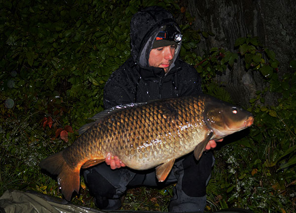 31-pound common carp
