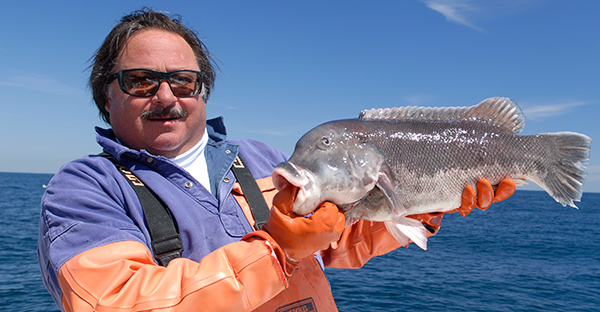 Michael Potts Blue Fin IV tautog