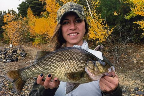 On October 16, 2016, Val Percuoco of Leominster landed the new Massachusetts Record for White Perch!