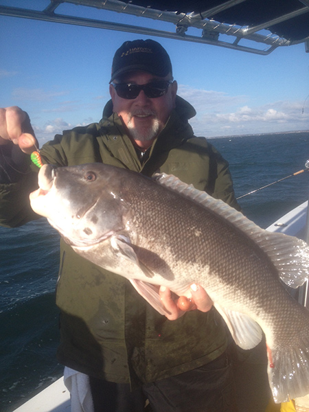 Mike Dumais with a big Buzzards Bay blackfish taken aboard the Little Sister. 2) It might be worth taking a trip for a trophy toothy!