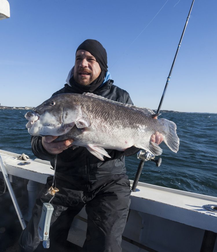 Newport Sport Fishing Charters Nick Krasy 13 pound tautog