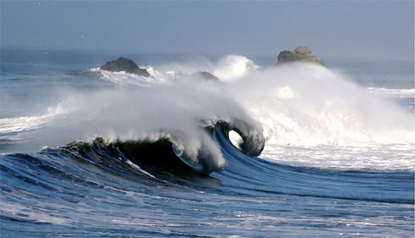 Onshore winds push bait toward the beach
