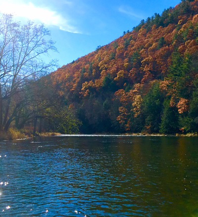 Pine Creek valley is sporting some amazing fall colors!