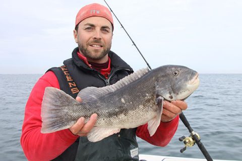 When fishing the right spot for tautog it feels like something special is about to happen. If you fish it right, you will be rewarded with big fish.