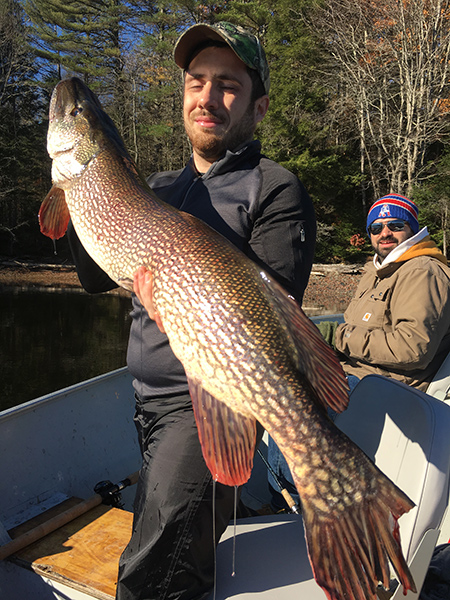 It might be worth taking a trip for a trophy toothy! New Hampshire guide Tim Moore put a charter into this 43" monster!