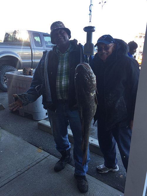 Monster cod taken aboard the Frances Fleet