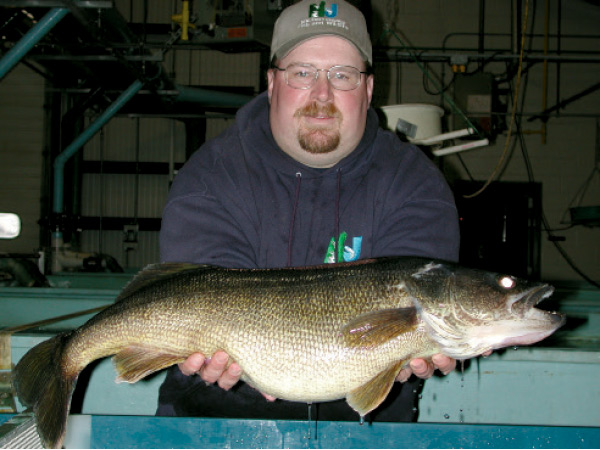 Hatchery Superintendent Craig Lemon with a broodstock walleye.