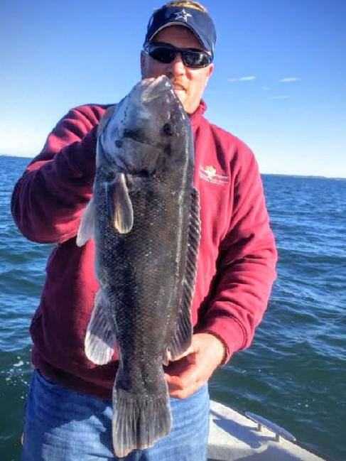 Chris with a big Long Island Sound tautog.
