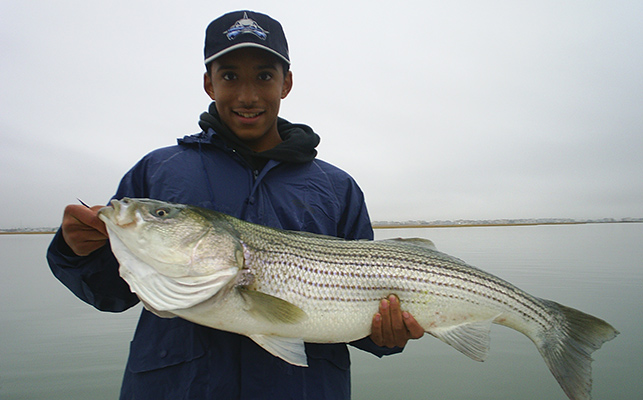 Anglers can find success with clams in the ocean, inlets and backwaters as bass will rarely pass up this easy meal.