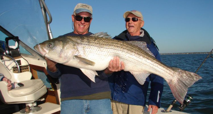 Drifting through the rip with either live bait or jigs is the most popular method for hooking up.