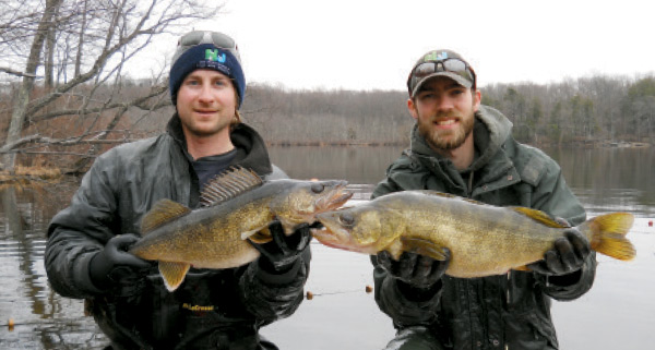 Hatchery workers with a pair of big walleye netted from Swartswood.