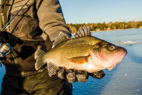 Ice Fishing Tips for the First Freeze of the Season