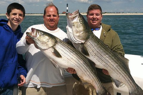 Big stripers will move into Great South Bay after schools of adult bunker. photo: Captain Paul Mandella/Maybe Tonight Charters