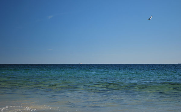 When a school of big bluefish rushes the beach, you might only have a short period of time to intercept them with a cast. You&rsquo;ll be glad that you have a rod rigged with an intermediate sink line and a fly with a bite tippet ready to go.