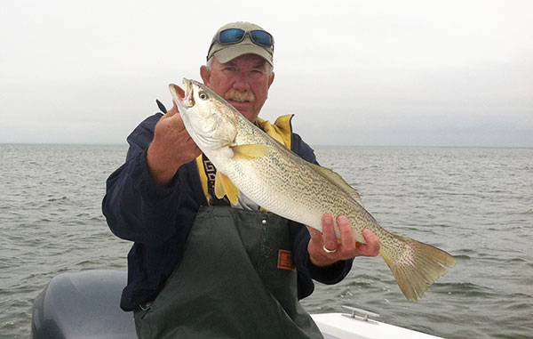 Big weakfish first move into Great South Bay in April, but the bite really heats up in May.