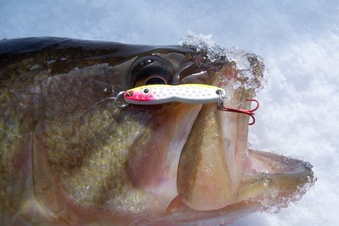 The PK Flutterfish perfectly mimics a dying baitfish and draws strikes from fish of all sizes.