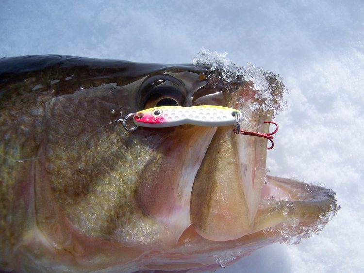 The PK Flutterfish perfectly mimics a dying baitfish and draws strikes from fish of all sizes.