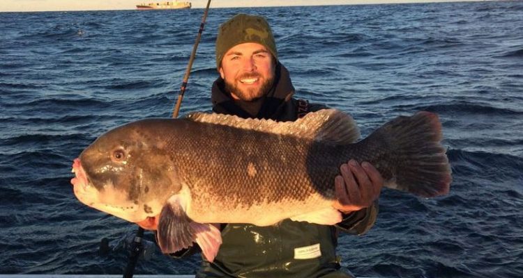 Monster NJ blackfish