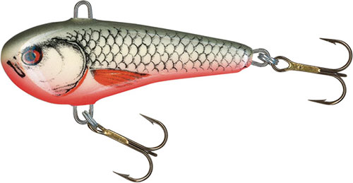 Salmo Chubby Darter