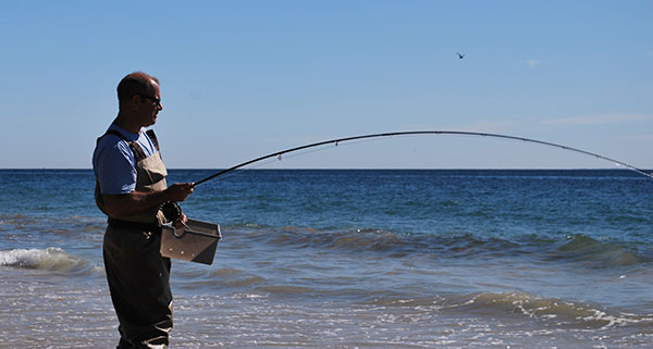 With a three-rod setup, you'll spend less time re-rigging for the situation and more time fighting fish.