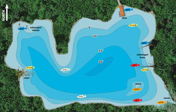 Largemouth bass will seek out different types of structure at different times of the year. In the spring, fish will gravitate towards ideal spawning areas, and in the fall, they will shift their attention towards finding an abundance of food to fatten up for the winter.