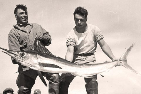 Cape Cod’s Fish Traps