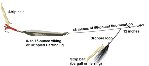 Pollock Jig Rig