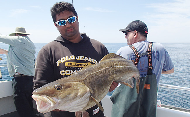 Winter Wrecking Crew