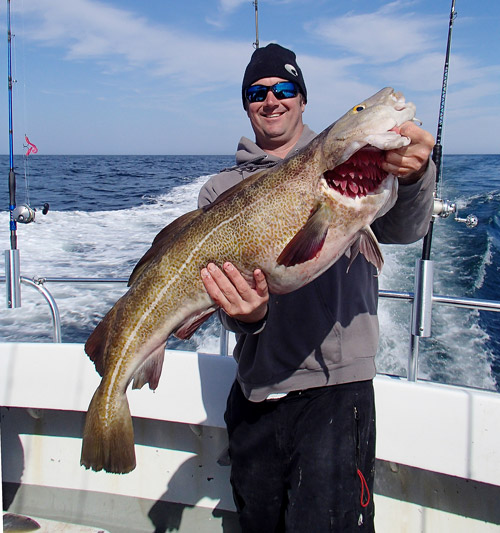 Cod of 25 to 30 pounds are a possibility when fishing the wrecks in winter.