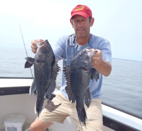 A 6&frac12;-foot medium-action graphite boat rod is very versatile