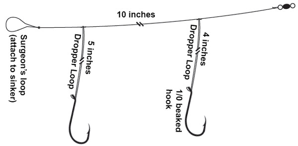 Basic High-Low Rig for porgies and sea bass