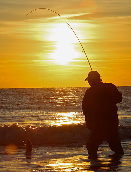 High-sticking when landing a bass in a big surf is a recipe for a broken rod.