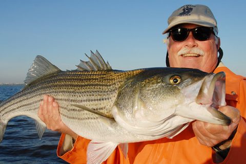 Jamaica Bay - The Artificial Estuary