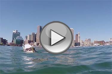 On The Water's Adventures Boston Harbor Blitz