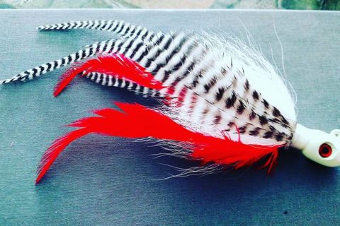 Local Luremaker: Joseph D’Agostino – JoeBaggs Tackle